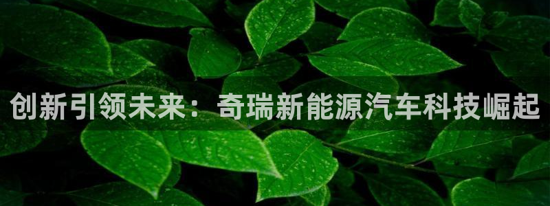 球盟会黑款吗还是白款