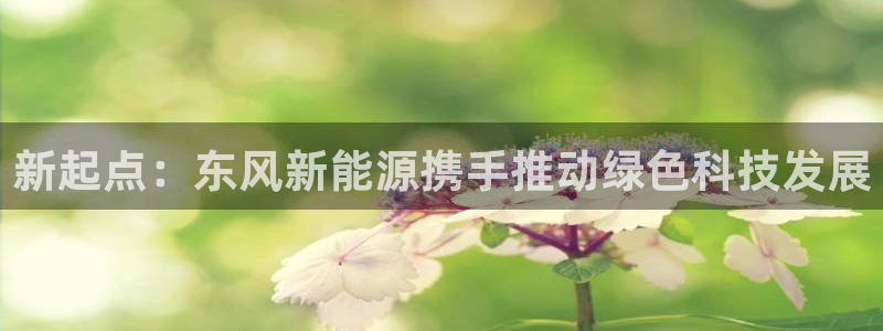 球盟会黑钱