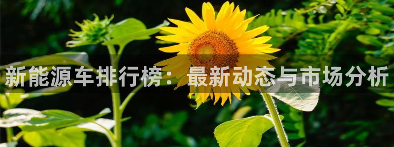 球盟会官方网站入口