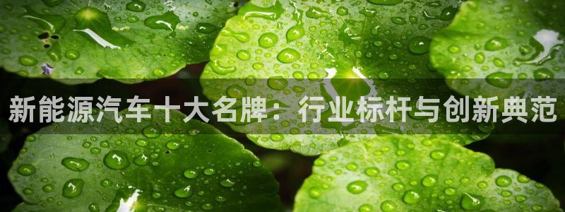 球盟会可以提现么是真的吗