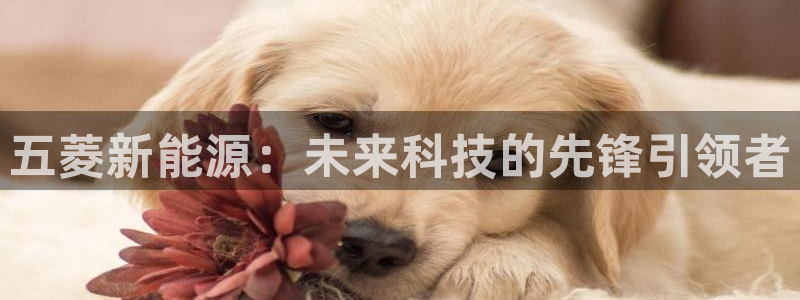 球盟会体育平台
