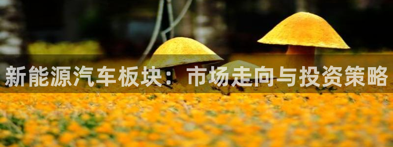 球盟会黑款吗知乎文章：新能源汽车板块：市