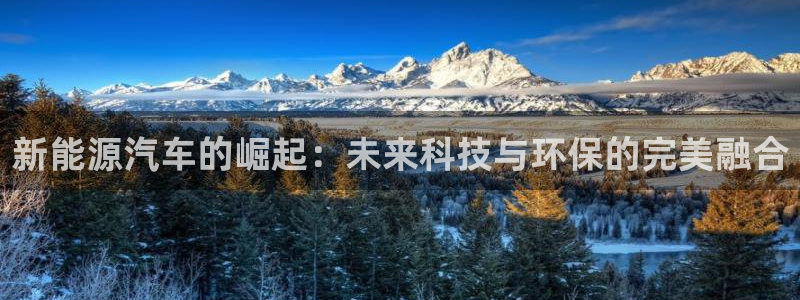 球盟会电子好黑：新能源汽车的崛起：未来科