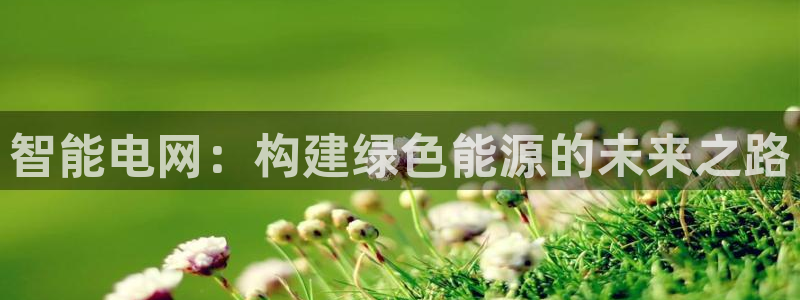 球盟会官方网址入口：智能电网：构建绿色能