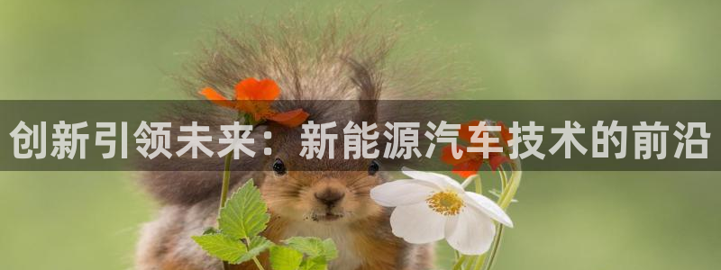 球盟会最新网