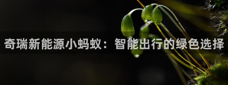 球盟会最新