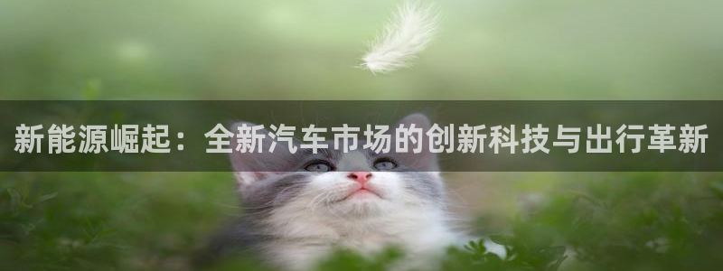 球盟会游戏