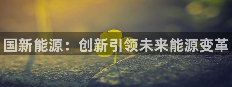球盟会官方网页登录：国新能源：创新引领未