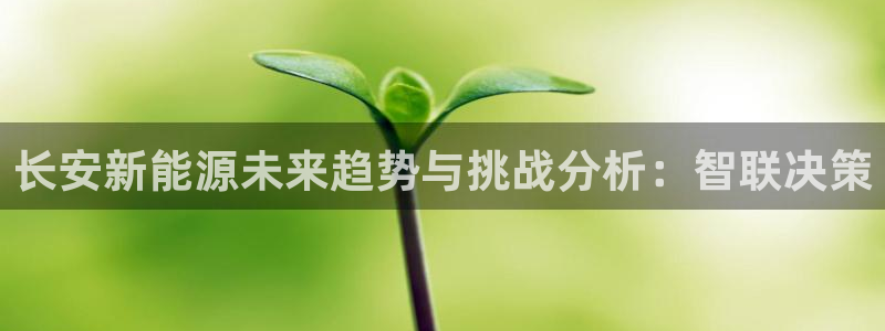 球盟会官网登录入口：长安新能源未来趋势与