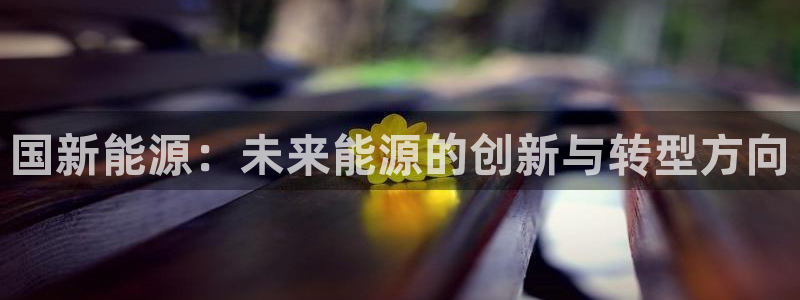 球盟会国际官网：国新能源：未来能源的创新