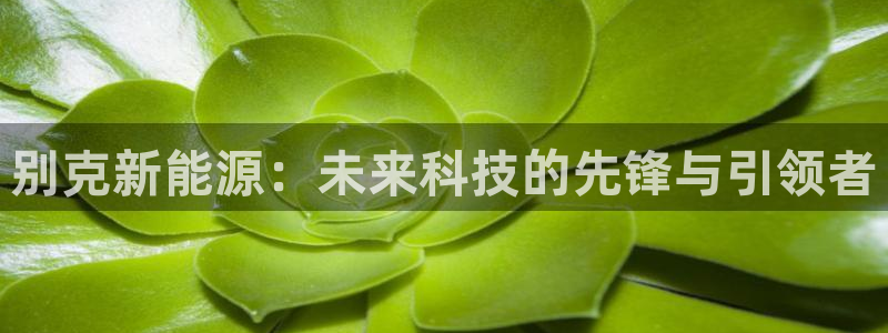 球盟会(中国)官方网站：别克新能源：未来