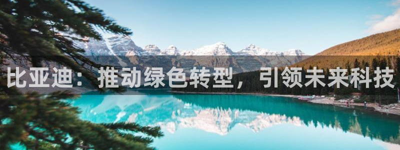 球盟会登陆：比亚迪：推动绿色转型，引领未