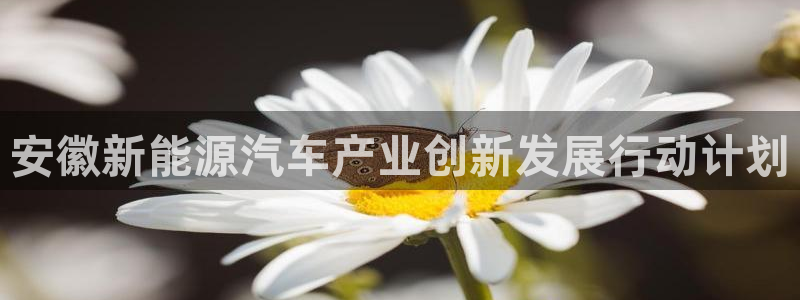 球盟会APP下载