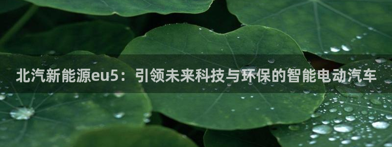 球盟会和中欧合作吗