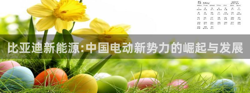 球盟会有没有黑单的球员