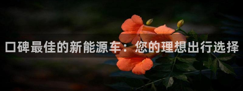 球盟会有没有黑单的活动:口碑最佳的新能源车:您的理想出行选择