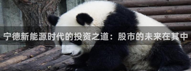 球盟会中国官方网站