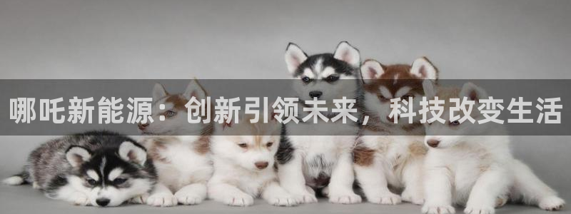 球盟会qm9