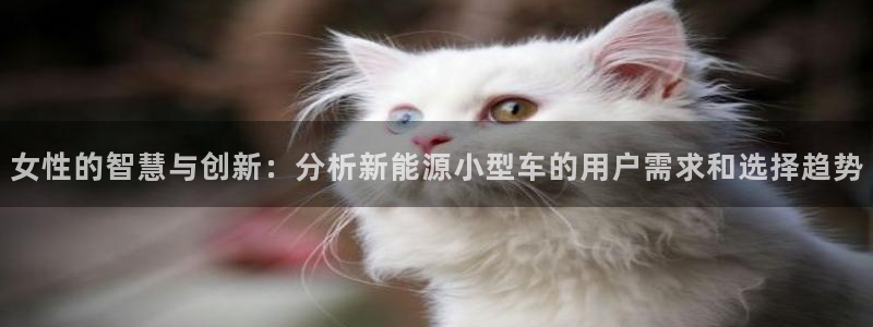球盟会qm