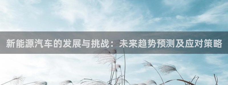 球盟会app最新地址下载:新能源汽车的发展与挑战:未来趋势预