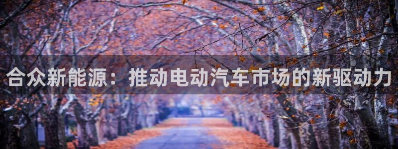 球盟会官方网站