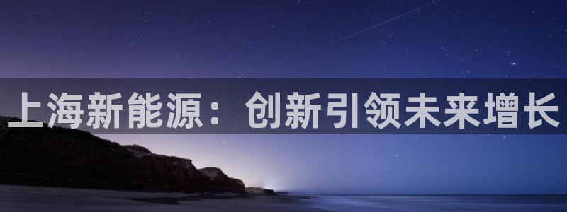 球盟会黑嘛：上海新能源：创新引领未来增长