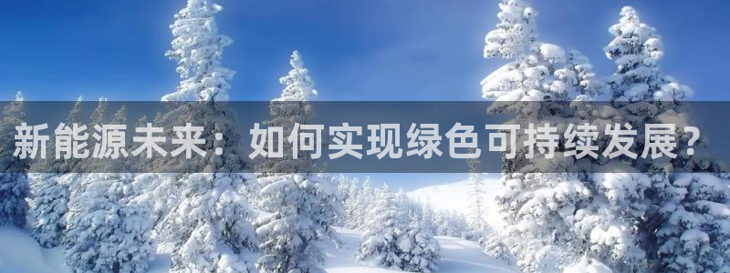 球盟会app网址多少：新能源未来：如何实