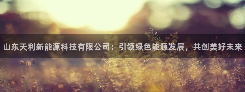球盟会进不去球员吗：山东天利新能源科技有