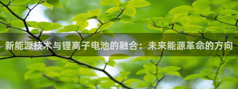 球盟会黑款吗知乎文章：新能源技术与锂离子