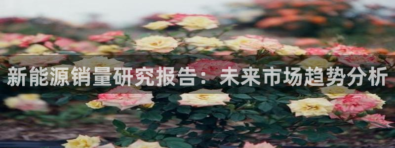 球盟会和中欧合作吗:新能源销量研究报告:未来市场趋势分析
