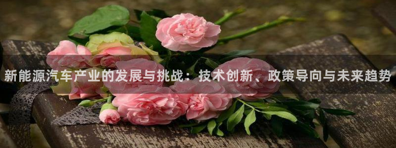 球盟会游戏几点玩合适