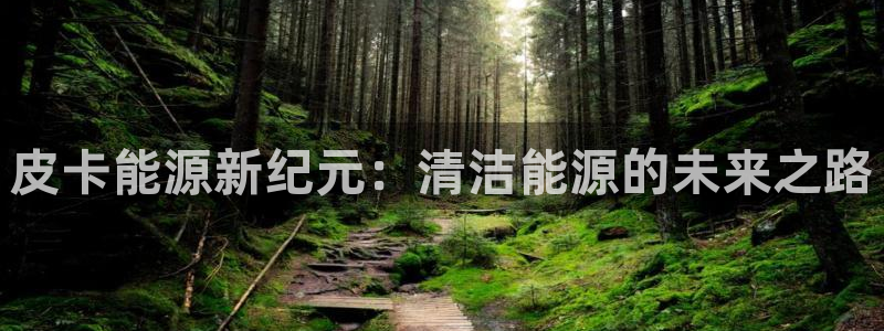 球盟会网址qm9 - 球盟会qmh网页版登录:皮卡能源新纪元