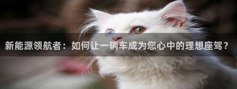 球盟会官方下载