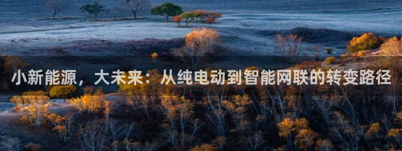 千亿球盟会乐玩:小新能源,大未来:从纯电动到智能网联的转变路