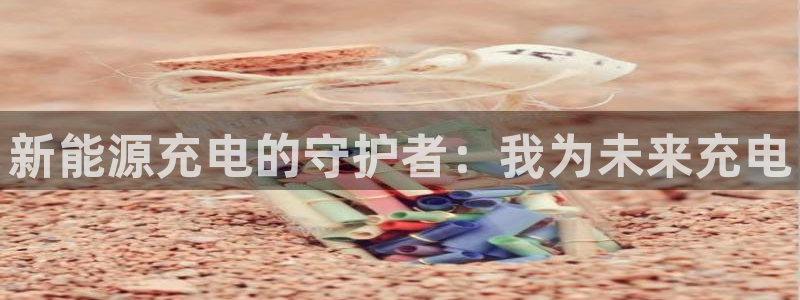 球盟会最新网:新能源充电的守护者:我为未来充电