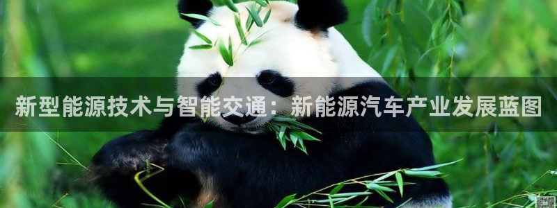 球盟会里面有打牌的嘛