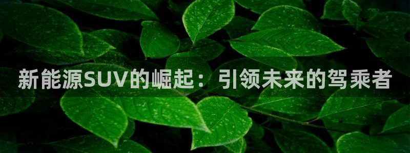 球盟会app安装