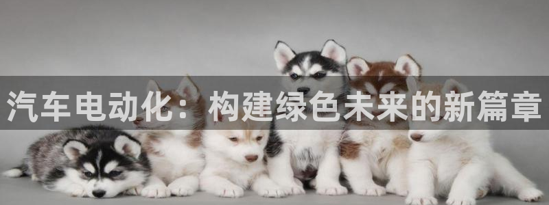球盟会官网:汽车电动化:构建绿色未来的新篇章