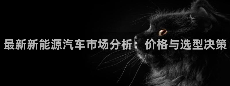 球盟会黑台