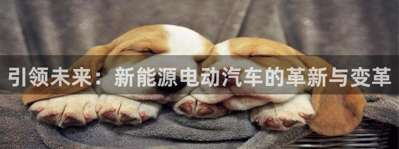 球盟会app最新地址在哪找:引领未来:新能源电动汽车的革新与