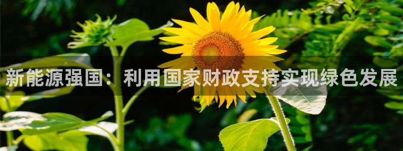 球盟会黑网