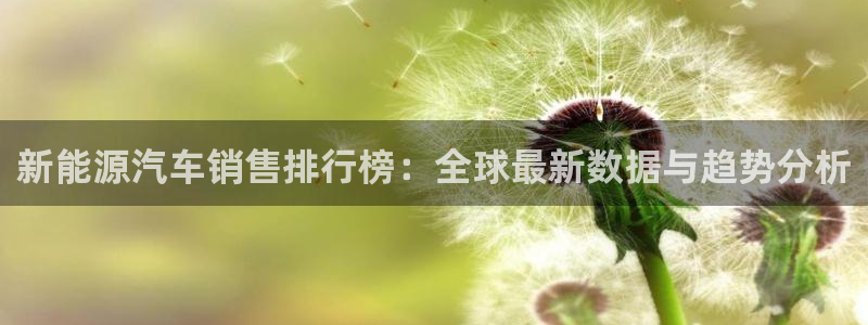 球盟会游戏