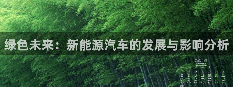 球盟会有没有黑单的人:绿色未来:新能源汽车的发展与影响分析