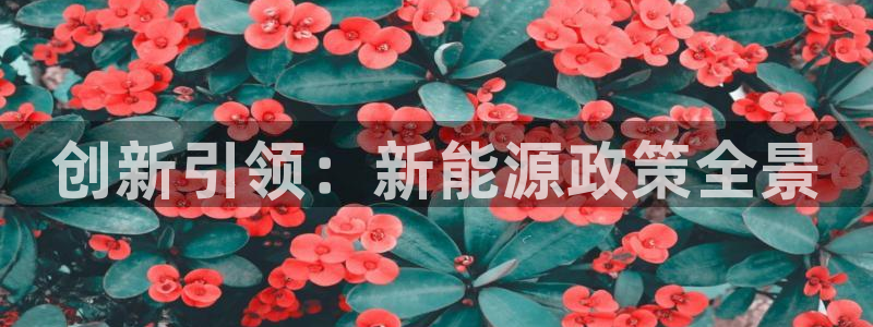 球盟会平台会黑单吗:创新引领:新能源政策全景