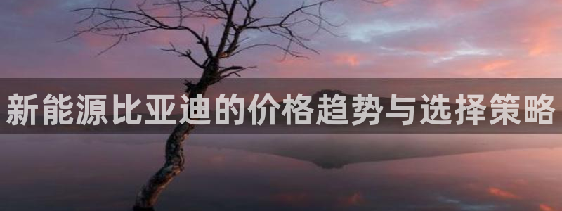 球盟会有限公司怎么样:新能源比亚迪的价格趋势与选择策略
