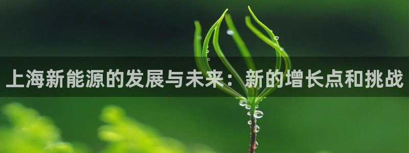 球盟会APP最新地址：上海新能源的发展与