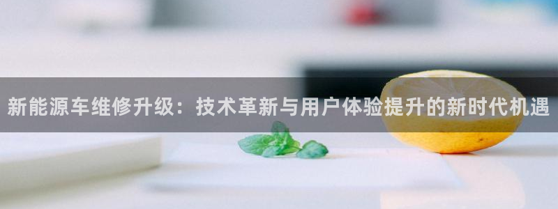 球盟会网页版登陆:新能源车维修升级:技术革新与用户体验提升的