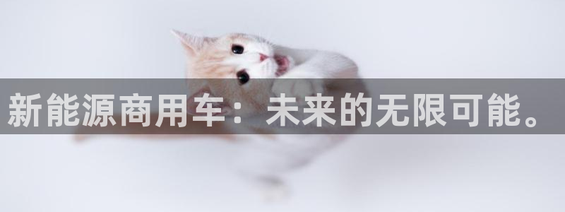 球盟会和中欧:新能源商用车:未来的无限可能。