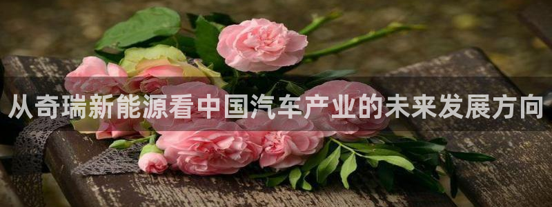 球盟会进不去:从奇瑞新能源看中国汽车产业的未来发展方向