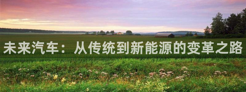 球盟会官网app下载:未来汽车:从传统到新能源的变革之路